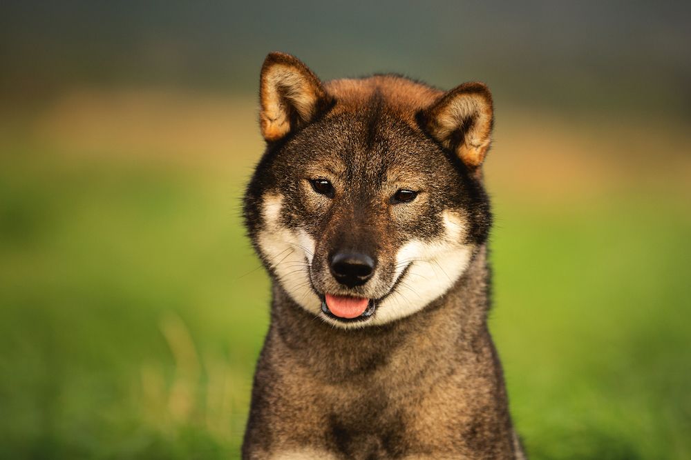 The Gossip Column: June 20, 2025